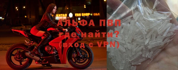 прущие крисы Алзамай