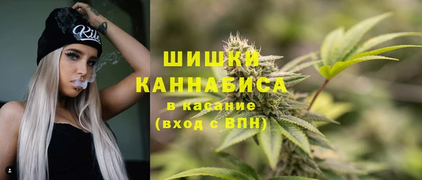 прущие грибы Алексин